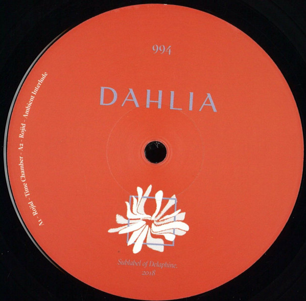 Rojid — DAHLIA 994