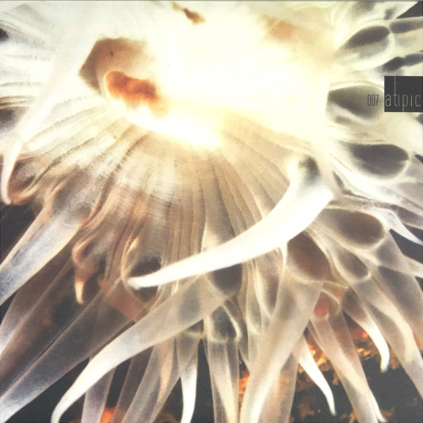 Romar — ATIPIC 007