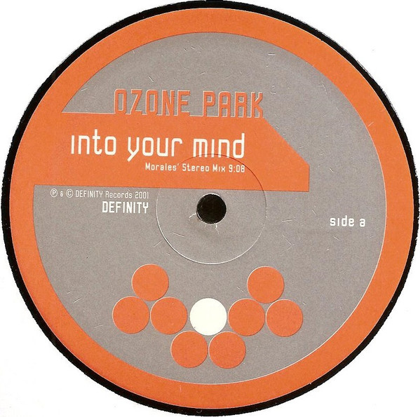 Ozone Park — Into Your Mind / D Journey